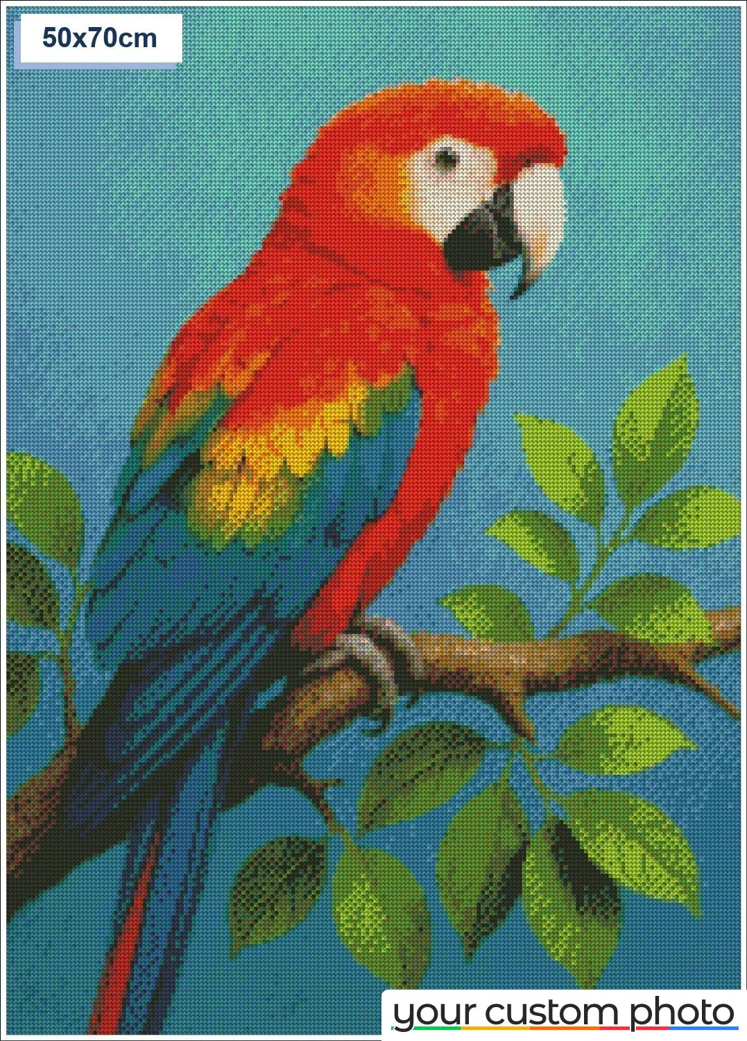 Colorful Macaw