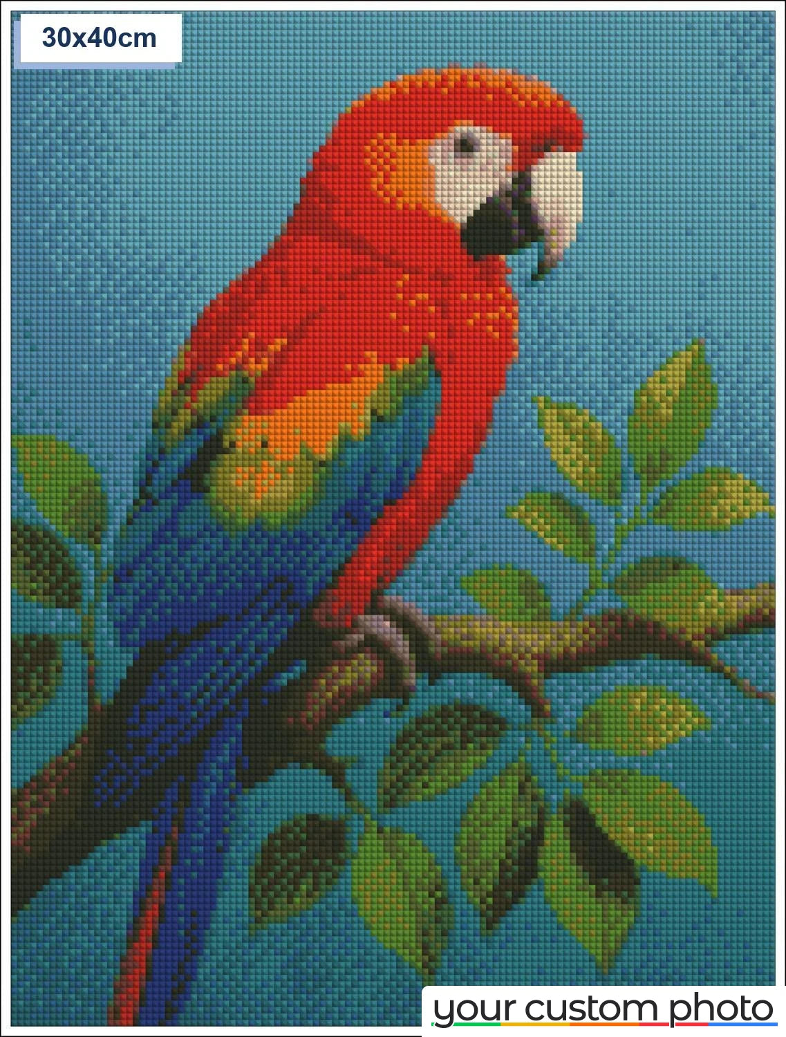 Colorful Macaw