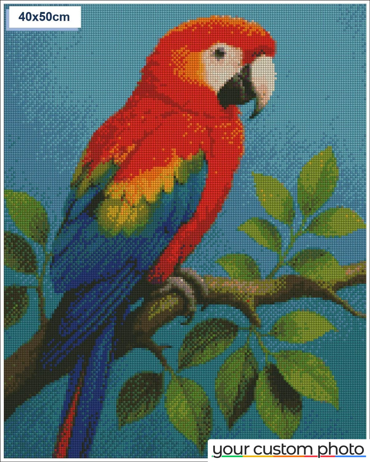 Colorful Macaw