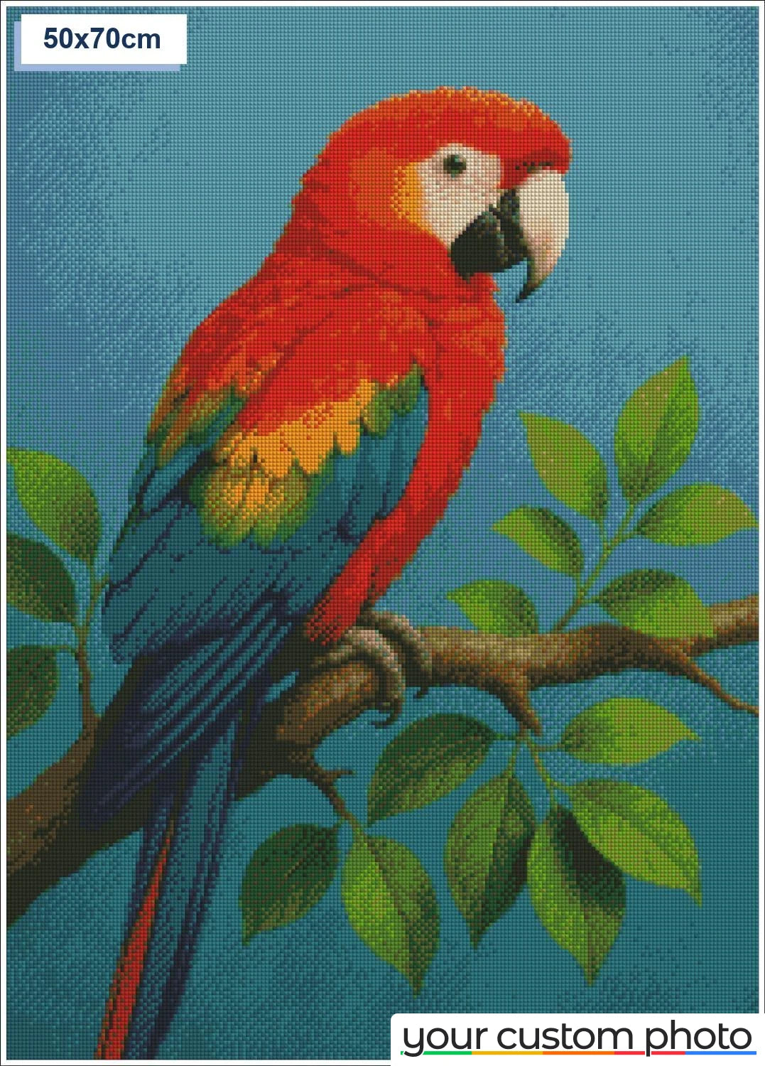 Colorful Macaw