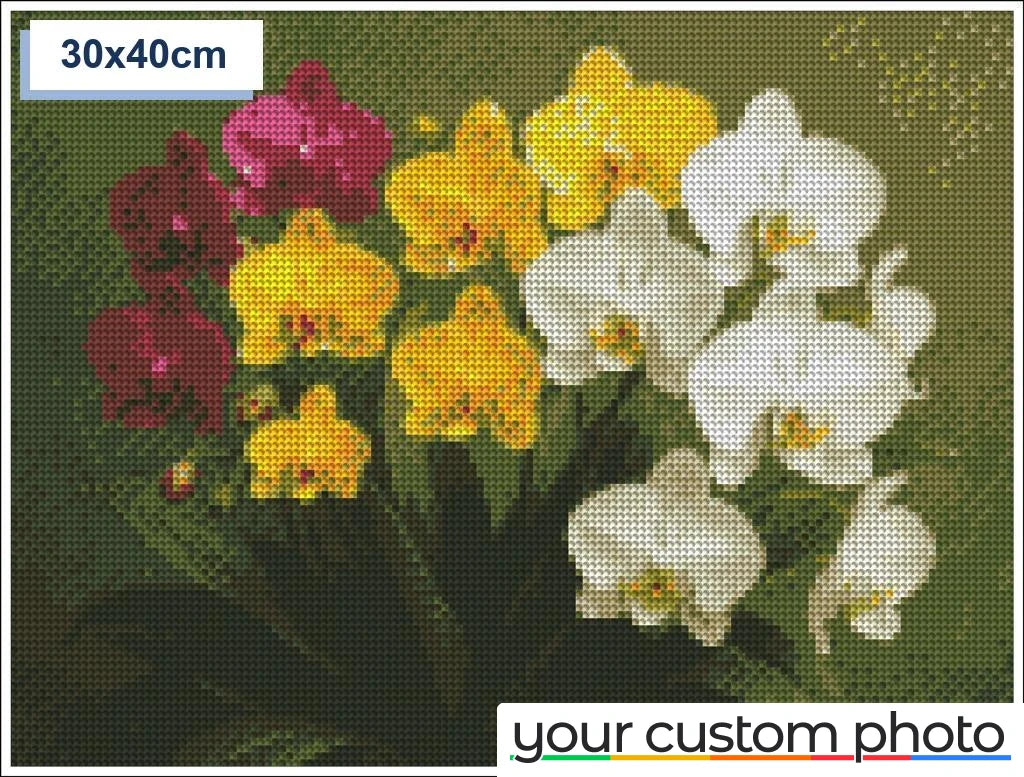 Colorful Orchids