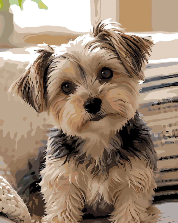 Finished custom pet paint by number portrait of a Yorkshire terrier