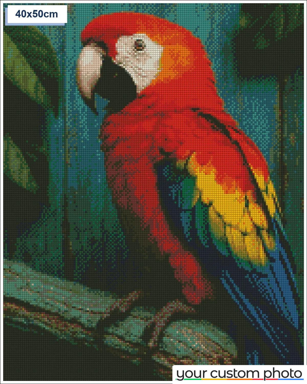 Parrot on branch
