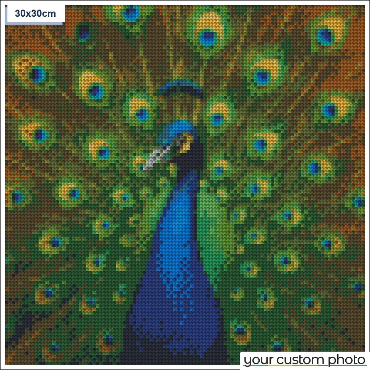 Elegant Peacock