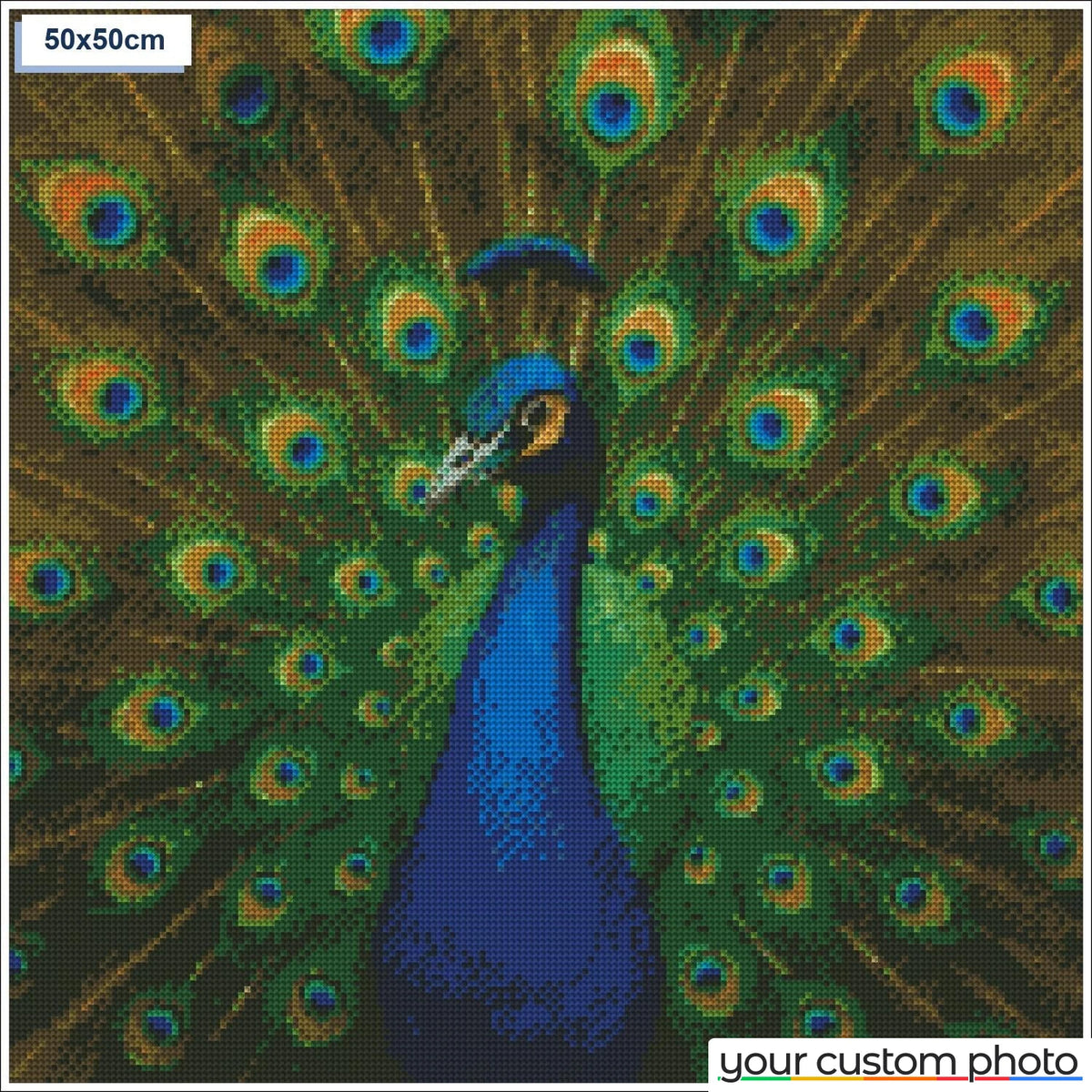 Elegant Peacock