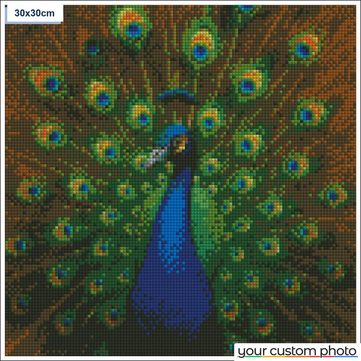 Elegant Peacock