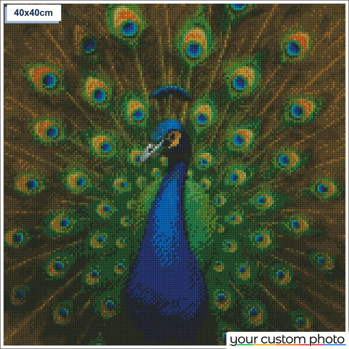 Elegant Peacock