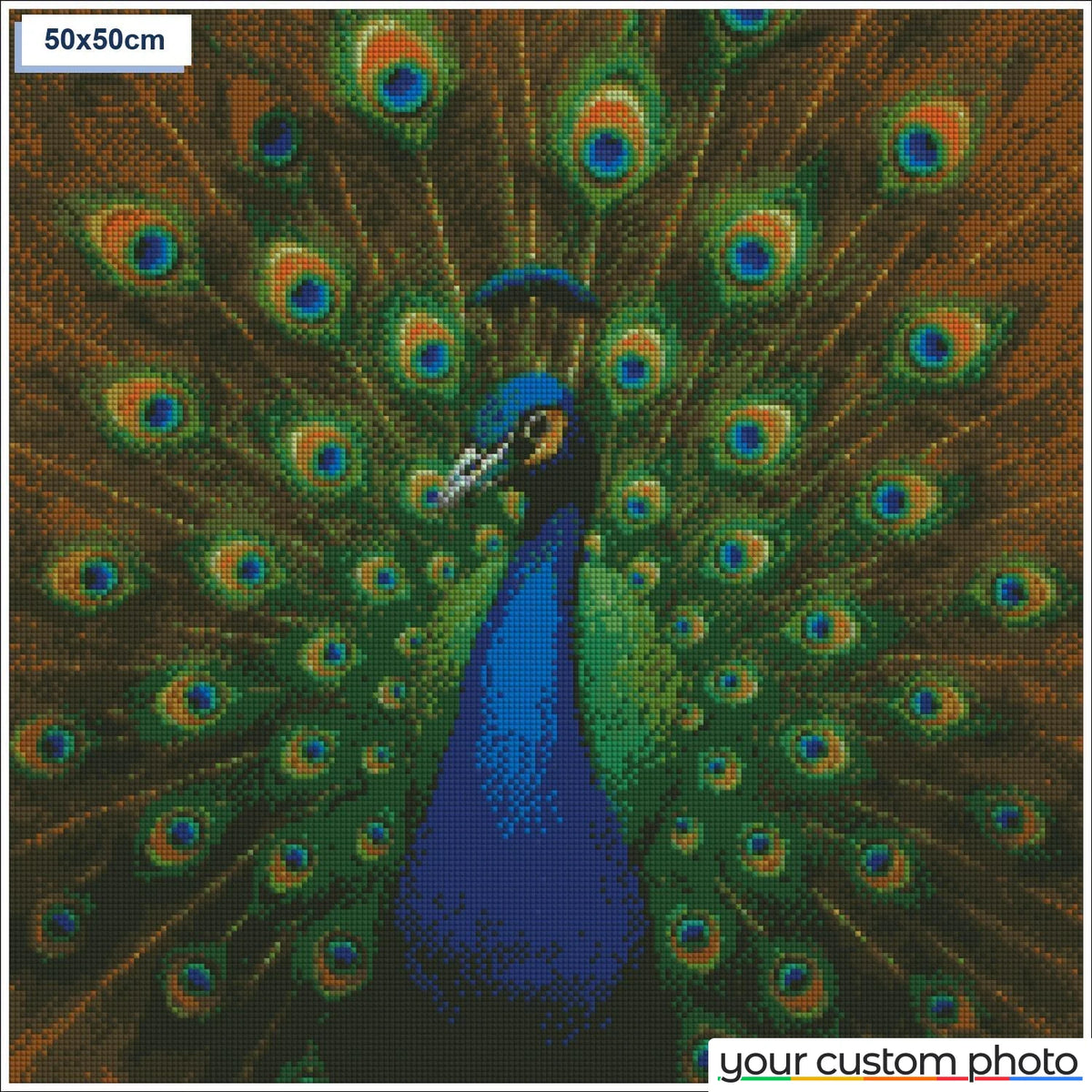 Elegant Peacock