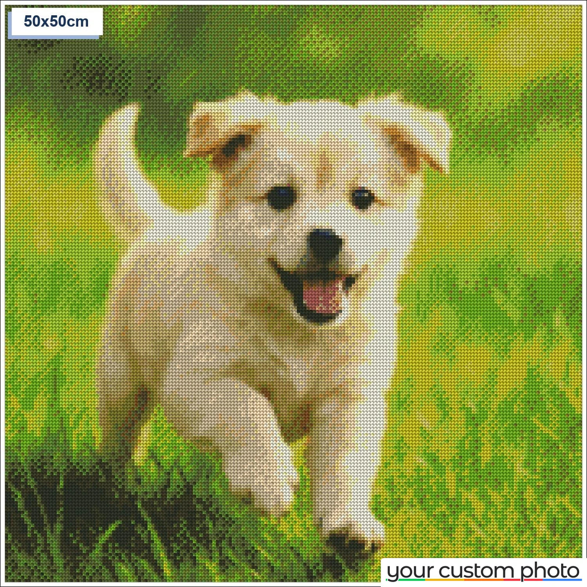 Playful puppy