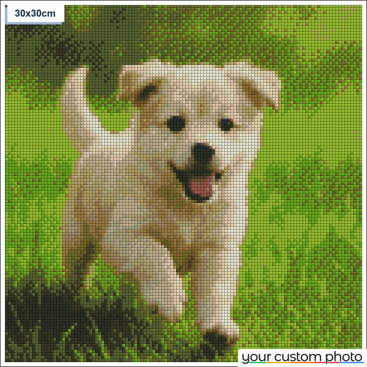 Playful puppy