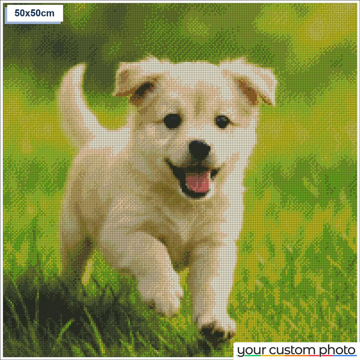 Playful puppy