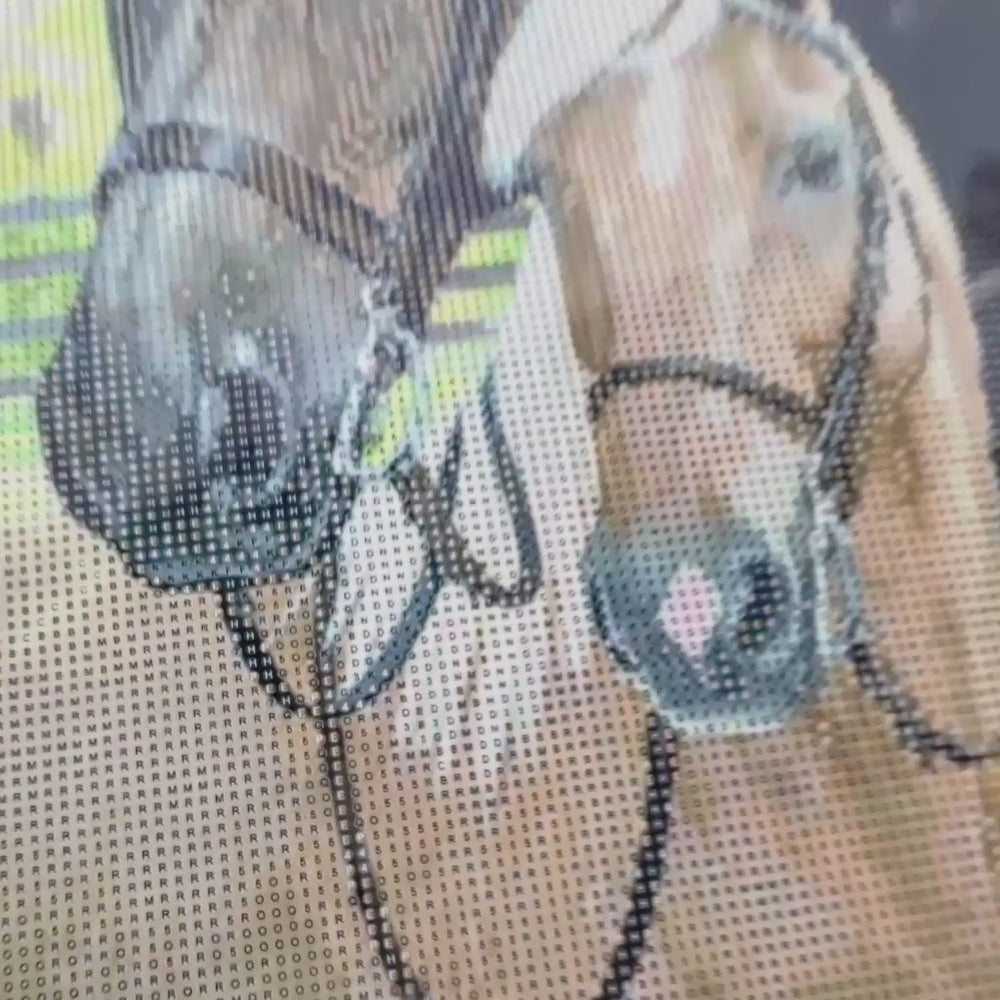 Video: how your photo becomes a custom diamond painting
