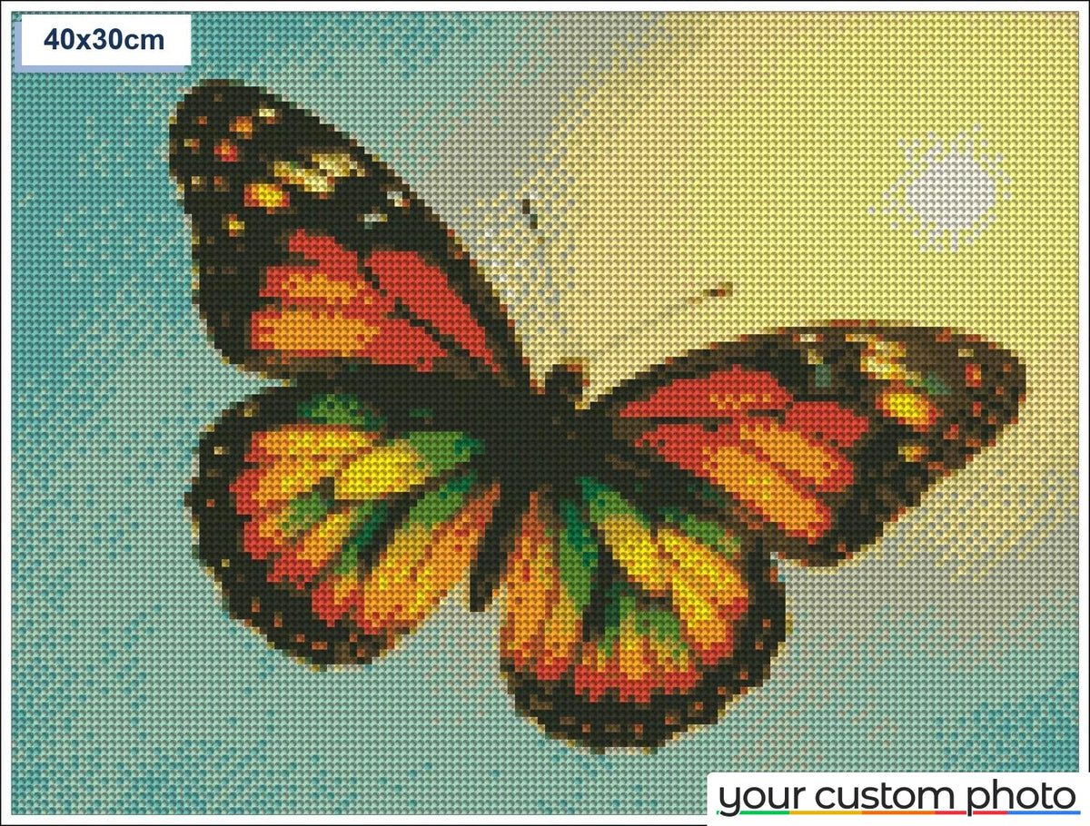 Colorful Butterfly