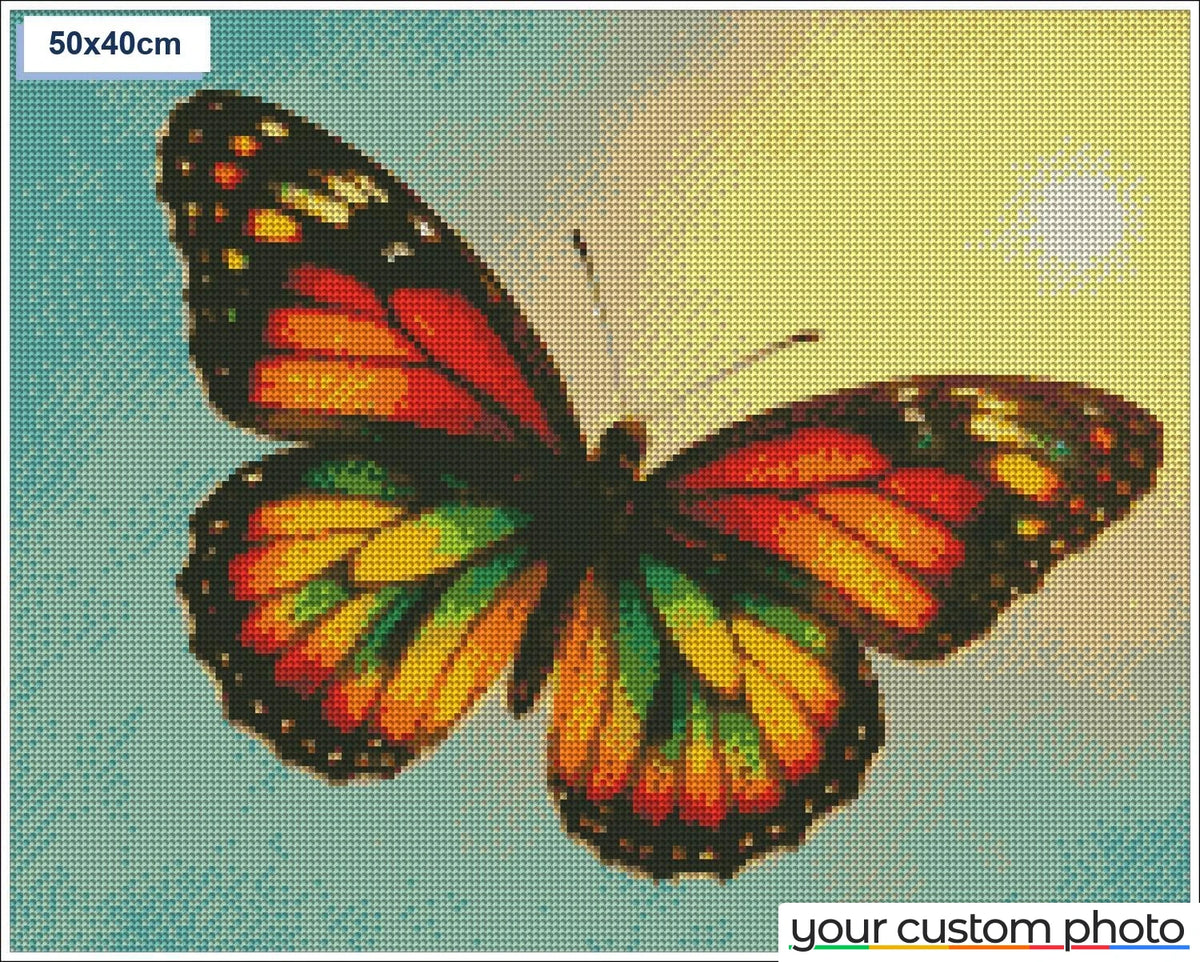 Colorful Butterfly