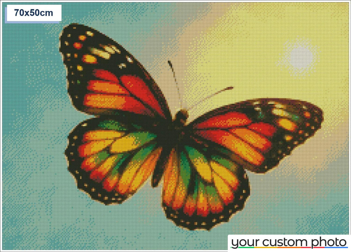 Colorful Butterfly