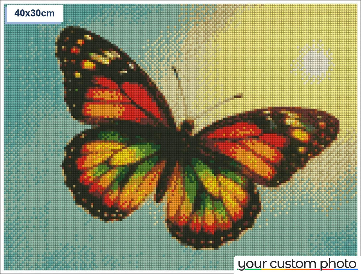 Colorful Butterfly