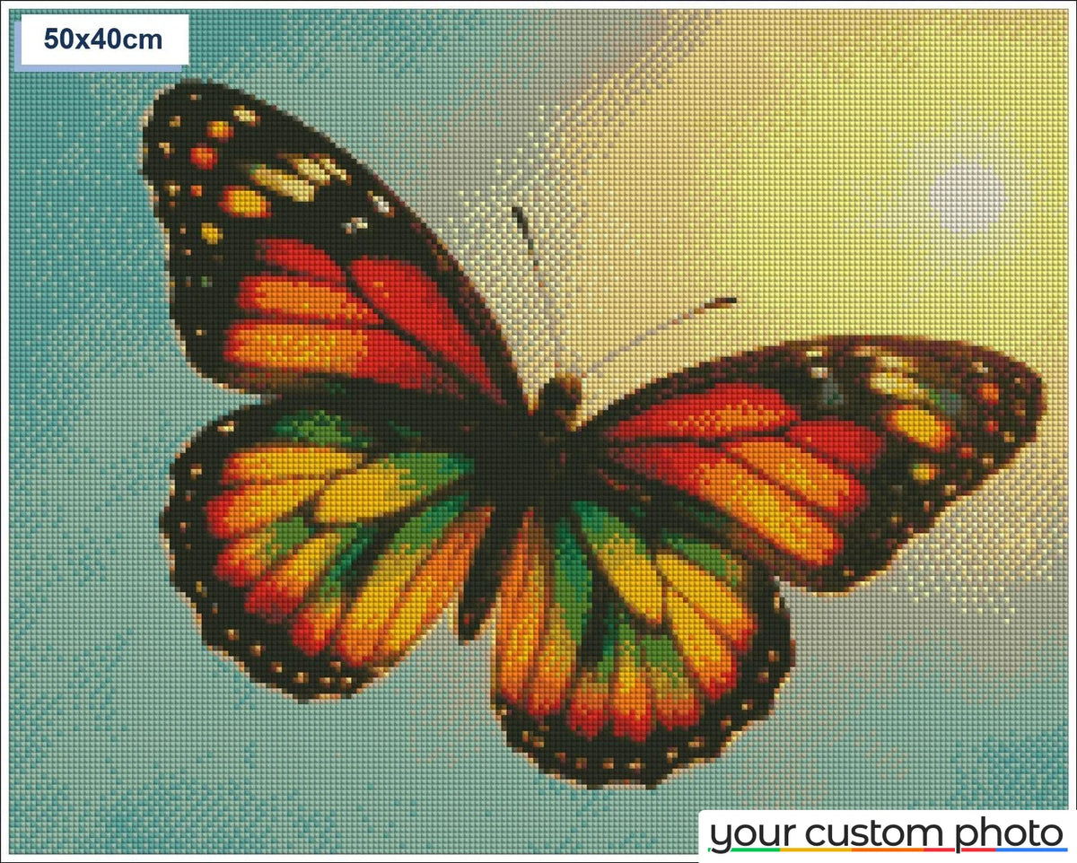 Colorful Butterfly