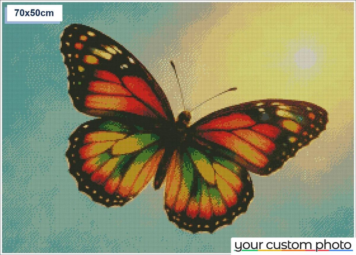 Colorful Butterfly