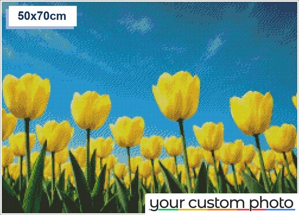 Tulip Field