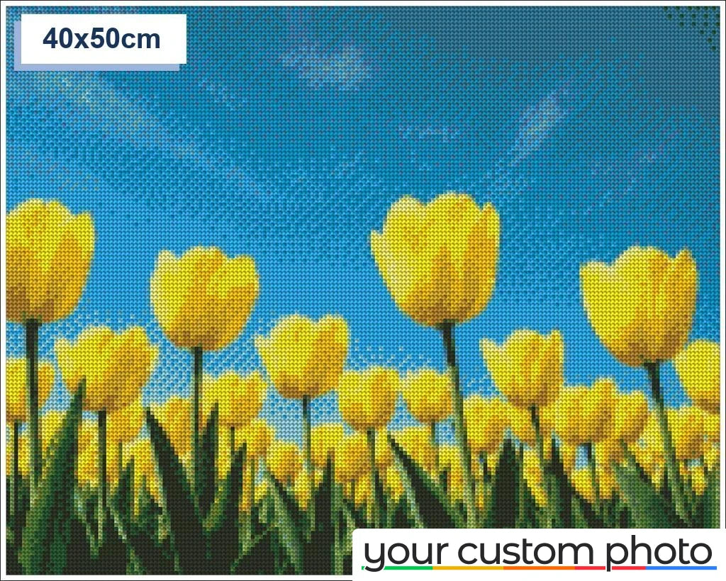Tulip Field