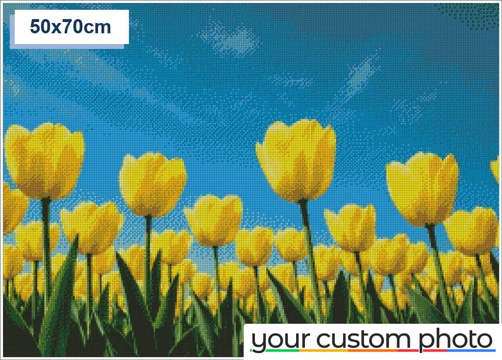 Tulip Field