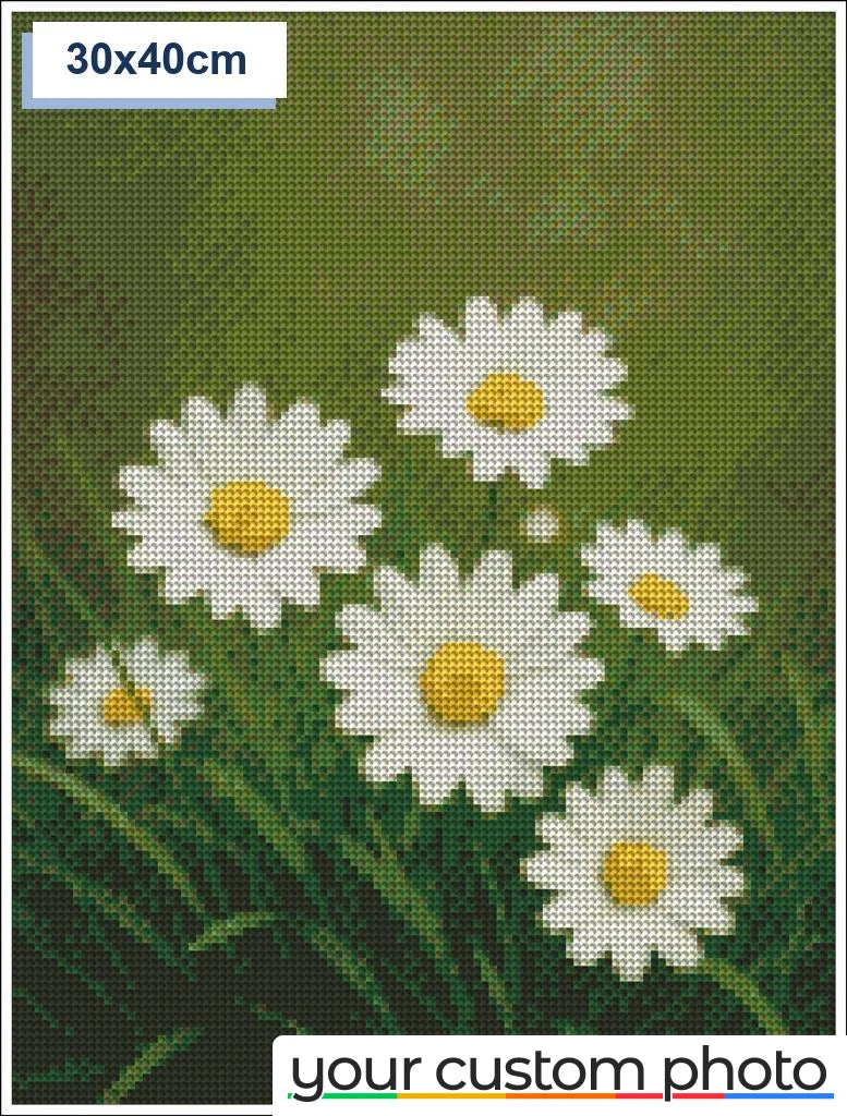 White Daisies